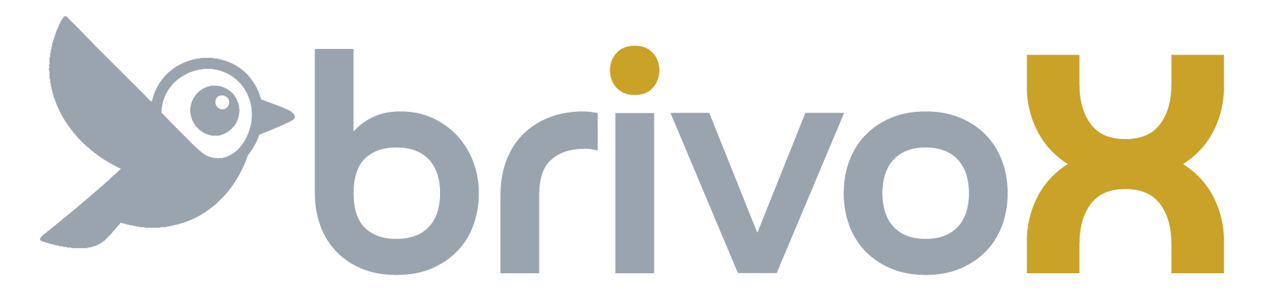 Brivox Logo
